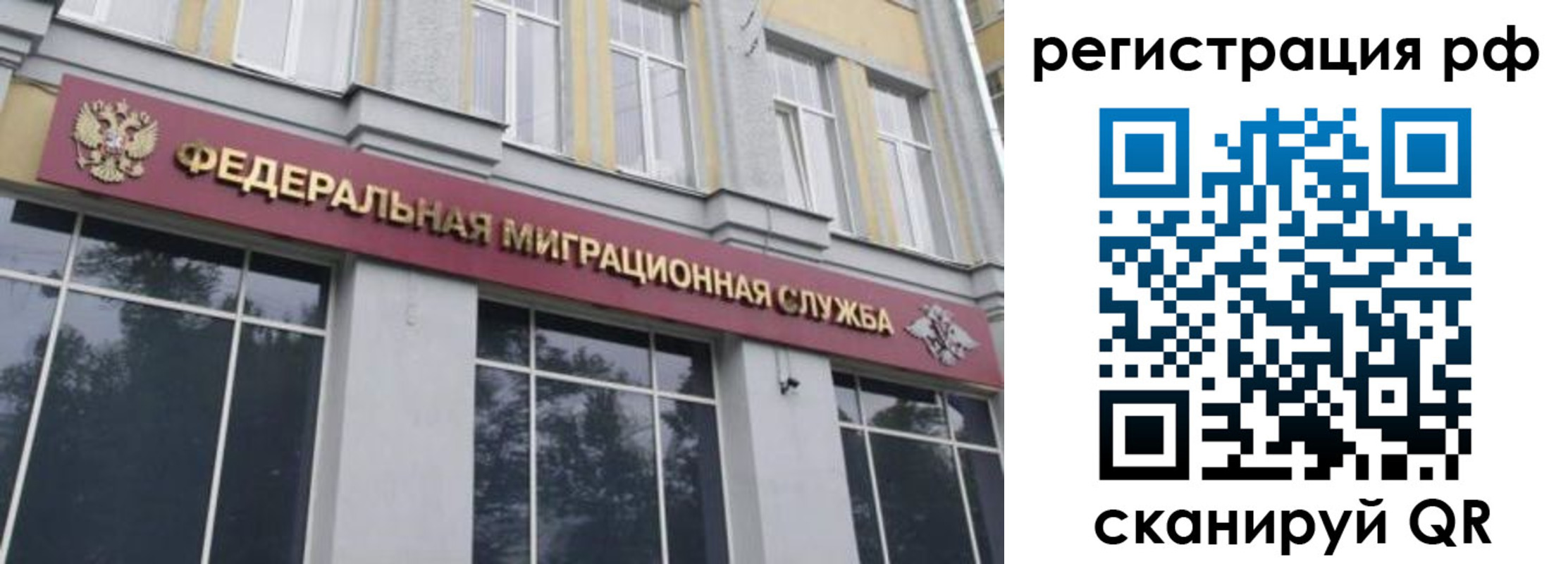 прописка законно в Павловске