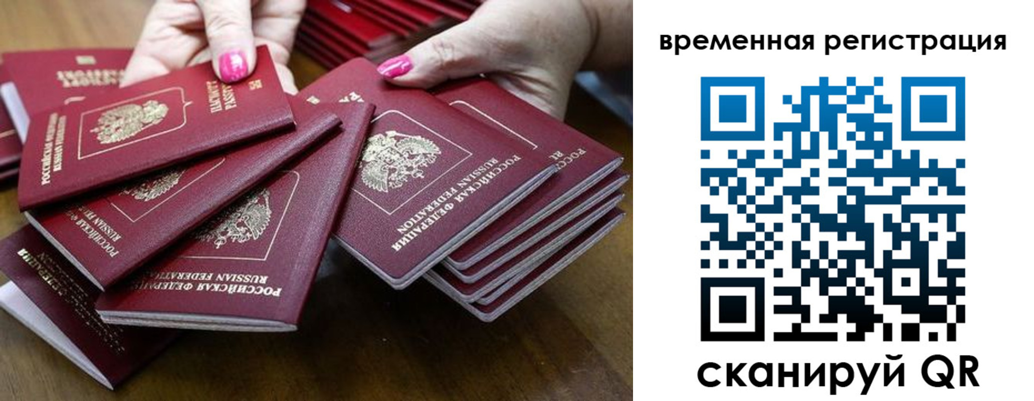 временная регистрация поиск в Павловске